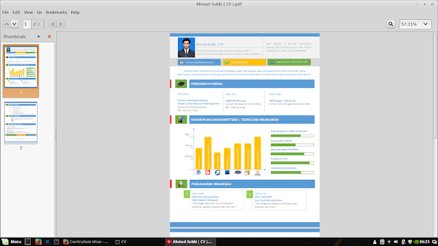 Contoh CV Professional    / Daftar Riwayat Hidup Professional - Ahmad ...