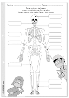 Los huesos - Colorea y escribe los nombres - Fácil - Primaria de El cuerpo humano con Pipo