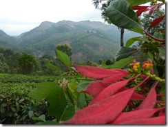 P1070394