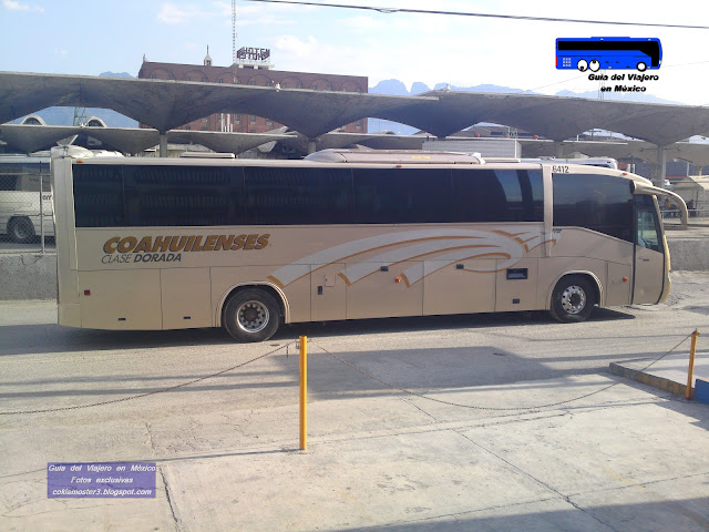 Coahuilenses Clase Dorada