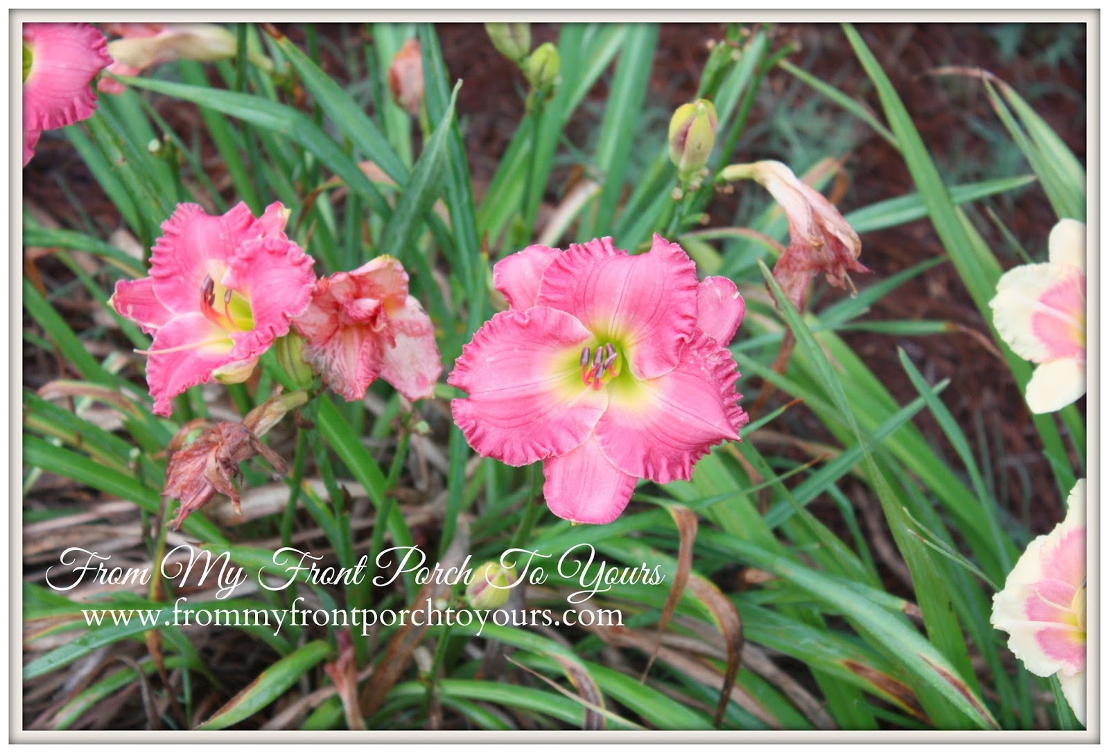 From My Front Porch To Yours- Flower Garden Lillies