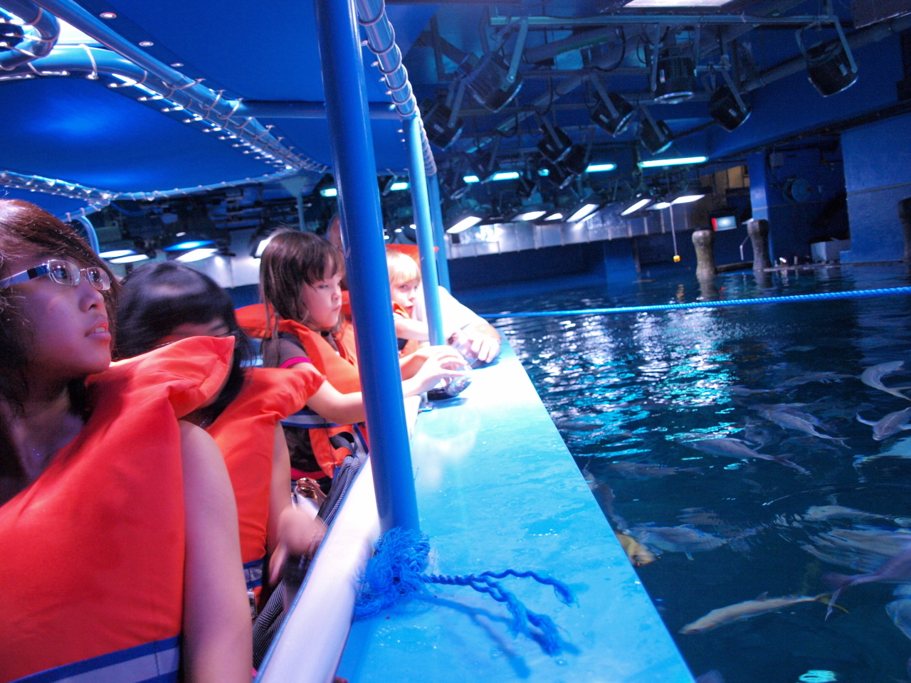 Catatan Ardi's Family: Wisata "Uwung Uwung" Di Dubai Aquarium