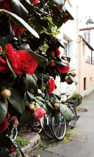 nantes-frühling-tipps-ankommen-auslandstipps