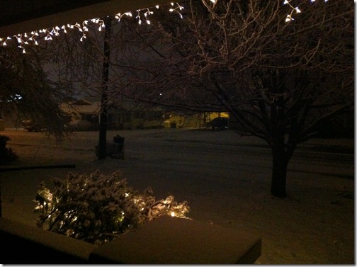 2012-12-25 White Christmas 10
