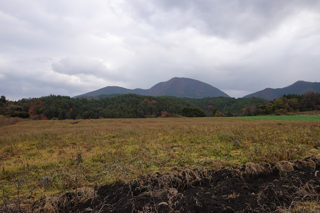 鳥取県西伯郡大山町赤松 付近の眺望