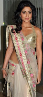 Shreya, hot, in, , transparent, saree