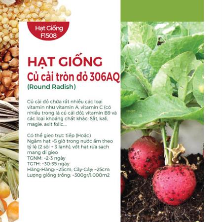 Hạt giống Củ cải tròn đỏ 306AQ