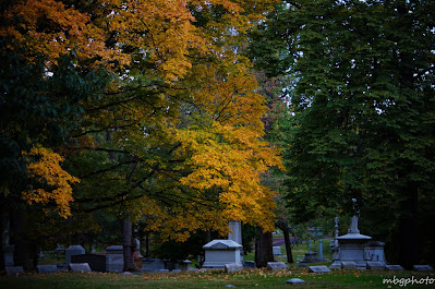 Bellefontaine Cemetery photo by mbgphoto