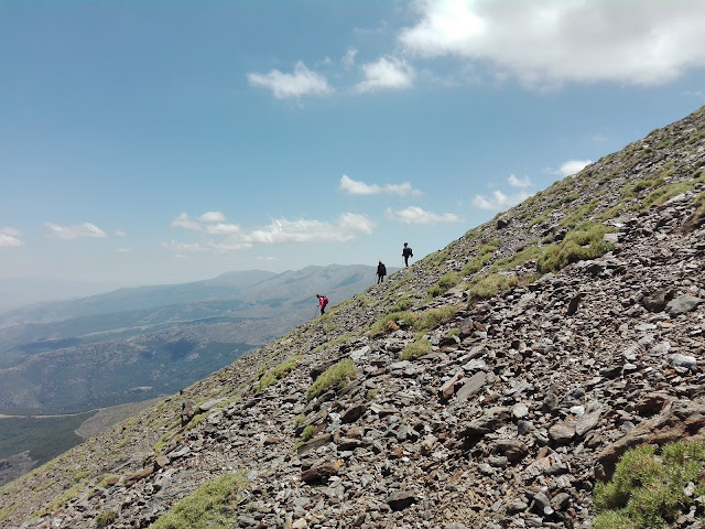 Picón,Sierra Nevada