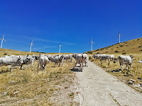 Strani incontri lungo la via del rientro