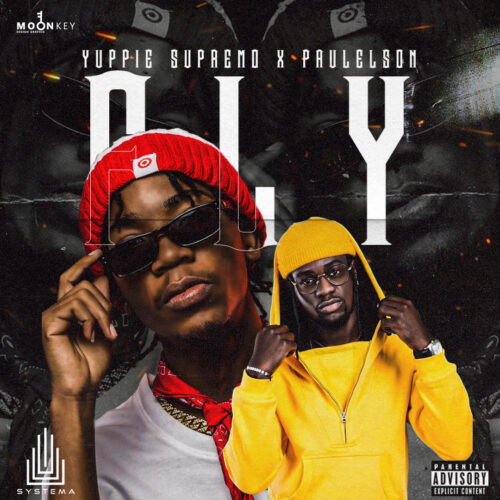 Yuppie Supremo - Fly (feat Paulelson) [Baixar mp3 ...