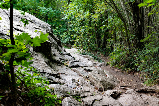 Pantano de Santa fe, el Montseny, Cataluña..