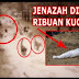 Pelik Ratusan Ekor Kucing Mengiring Jenazah Wanita Tua Semasa Pengebumian, Tak Sangka Ini Amalan Arwah Ketika Hidupnya !!!