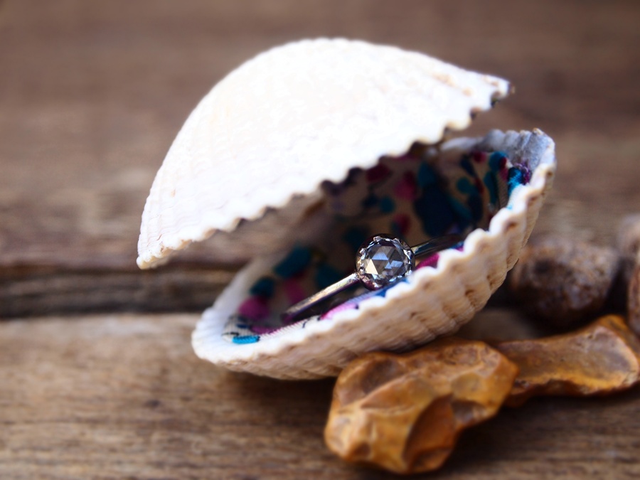 Until then I have displayed my engagement ring in the shell for the purpose 
