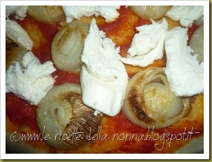 Pizza di farina di segale con cipolline (7)