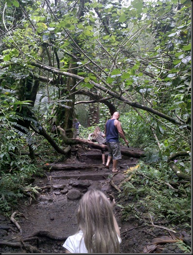 Manoa Falls (6)