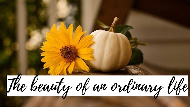 The beauty of an ordinary life