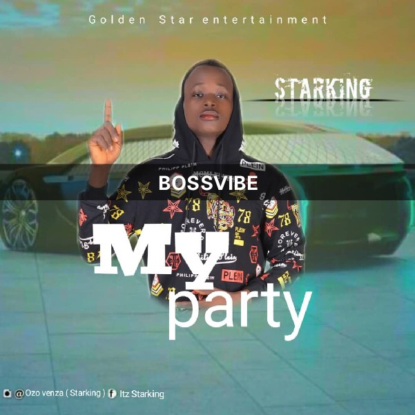 [MUSIC] Star King- My Party
