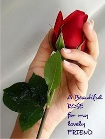 beautiful rose for my friends