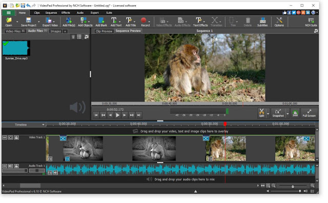 VideoPad Video Editor crack