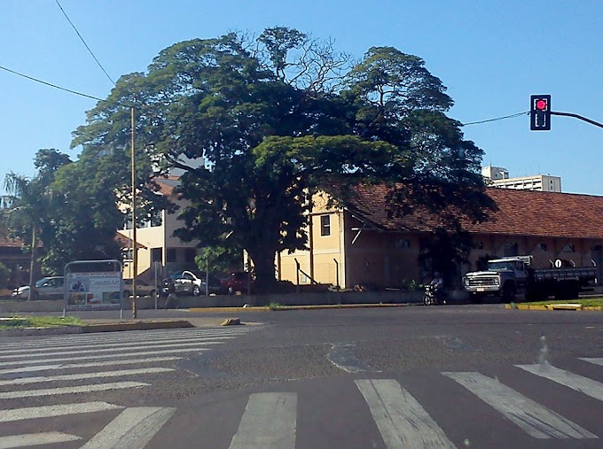 Uma obra de arte da natureza