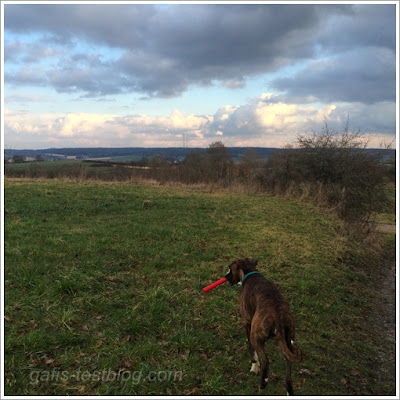 Abendausblick