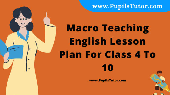 Free Download PDF Of Macro Teaching  English Lesson Plan For Class 4 To 10 On Sentence Topic For B.Ed 1st 2nd Year/Sem, DELED, BTC, M.Ed In English. - www.pupilstutor.com