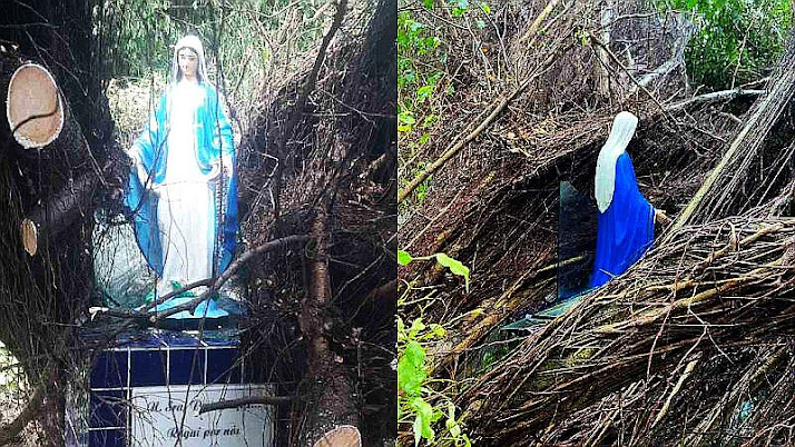 Imagem de Nossa Senhora das Graças ficou intacta, mesmo com a queda da árvore