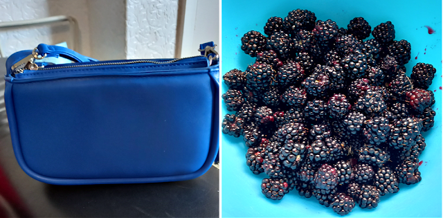 Blue handbag and blackberries