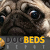 Types of Dog Beds