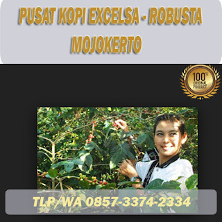 beli Kopi excelsa di mojokerto gratis ongkir ! 085733742334