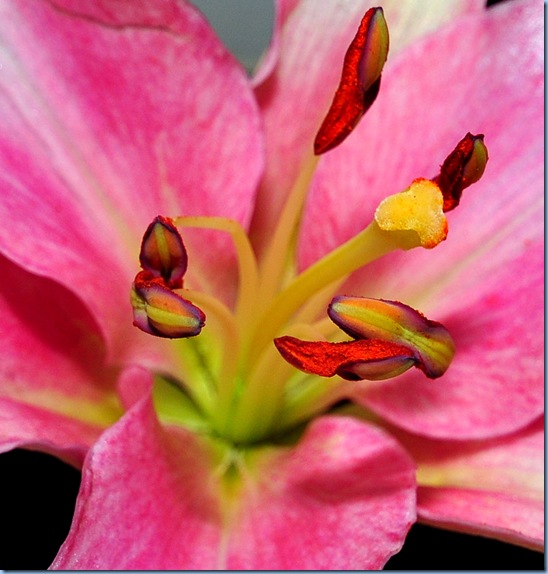 DSC_2658