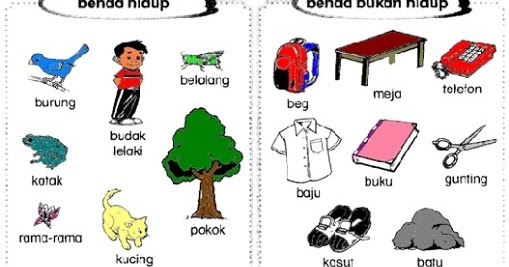 MARI BELAJAR BERSAMA SAINS BENDA  HIDUP DAN BENDA  BUKAN 