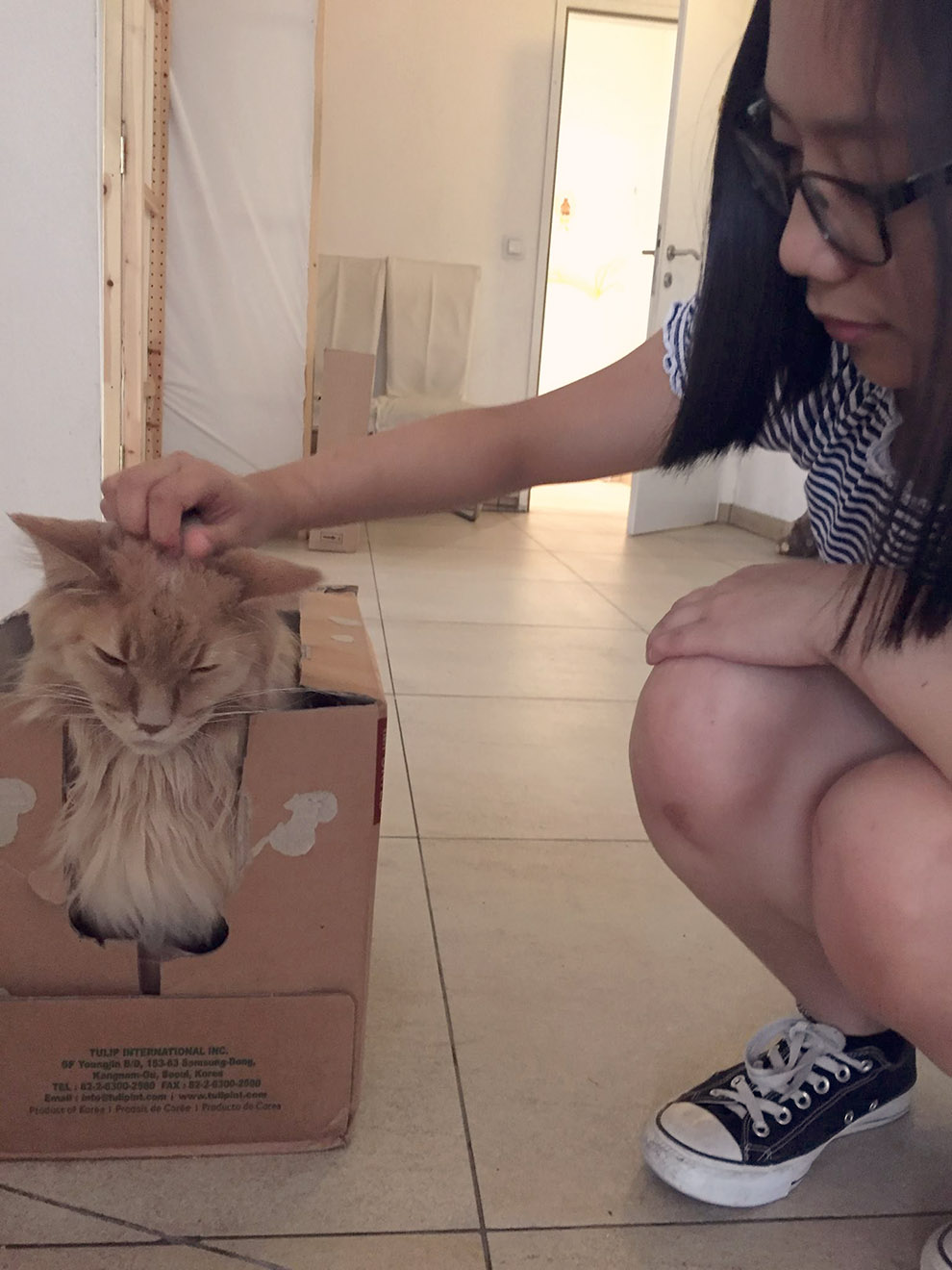 For The Love of Cats – Visiting Neko Café