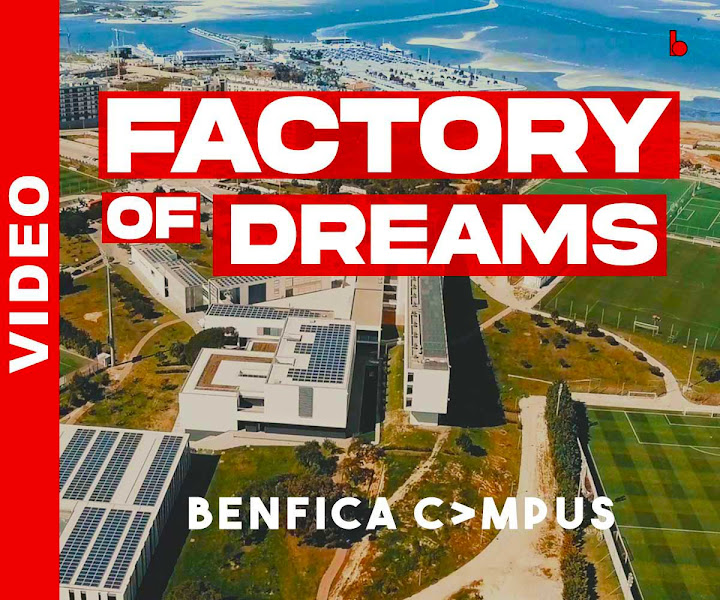 neo studios sport industry awards 2022 winner, factory of dreams benfica, benfica campus,