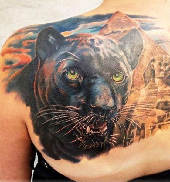Inspire-se com 50 Tatuagens Incríveis de Pantera