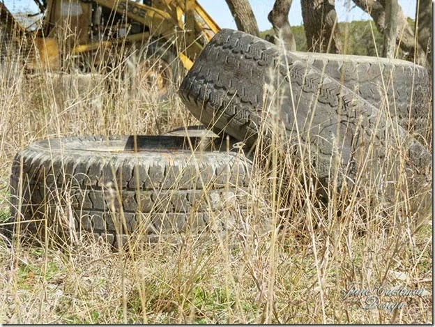 Tires_kk_organic