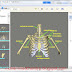 BoneLab 2 v2.3.36 - Software Informasi Tentang Tulang Tubuh Manusia