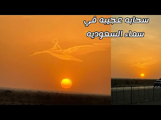 فيديو  صور مذهلة لطفل يجلس على ظهر طير في السعودية  سبحان الله
