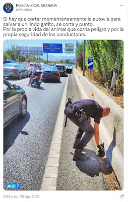 "Si hay que cortar momentáneamente la autovía para salvar a un lindo gatito, se corta y punto" Policía Local de Granada se pone firme para una acción llena de ternura