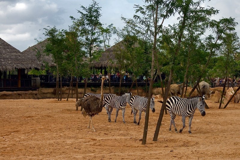 Bioparc Valencia
