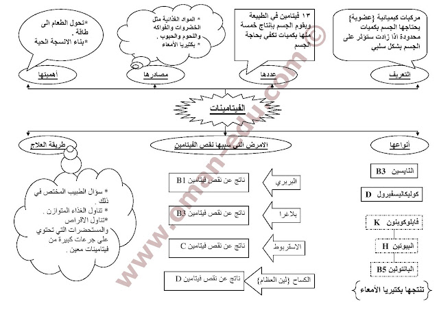 اسئلة وملخص اسئلة الفيتامينات للصف الحادي عشر الفصل الاول 