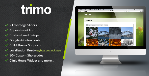 Trimo One Page Wordpress Theme - Portfolio Creative