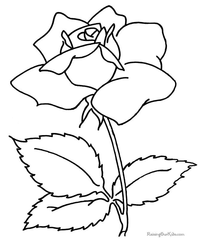 Flower Coloring Book Pages - Flower Coloring Page