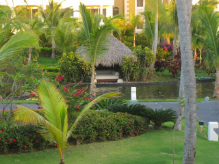 Hidden beach bed at Paradisus Palma Real