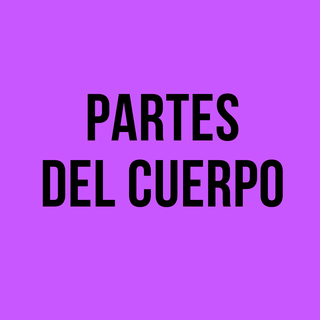 partes del cuerpo