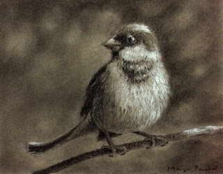 A charcoal and white pastel pencil sketch of a sparrow on canson paper by Manju Panchal