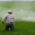 What is a Pesticides and their types, effects and harms?