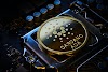 What Is Cardano (ADA)?what is ADA cryptocurrency ? what is cardano coin used for ? how do i buy cardano ada? 