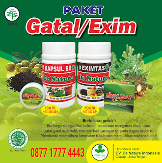 obat gatal